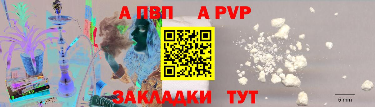 Alpha PVP СК КРИС Урус-Мартан
