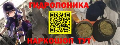 амф Нальчик