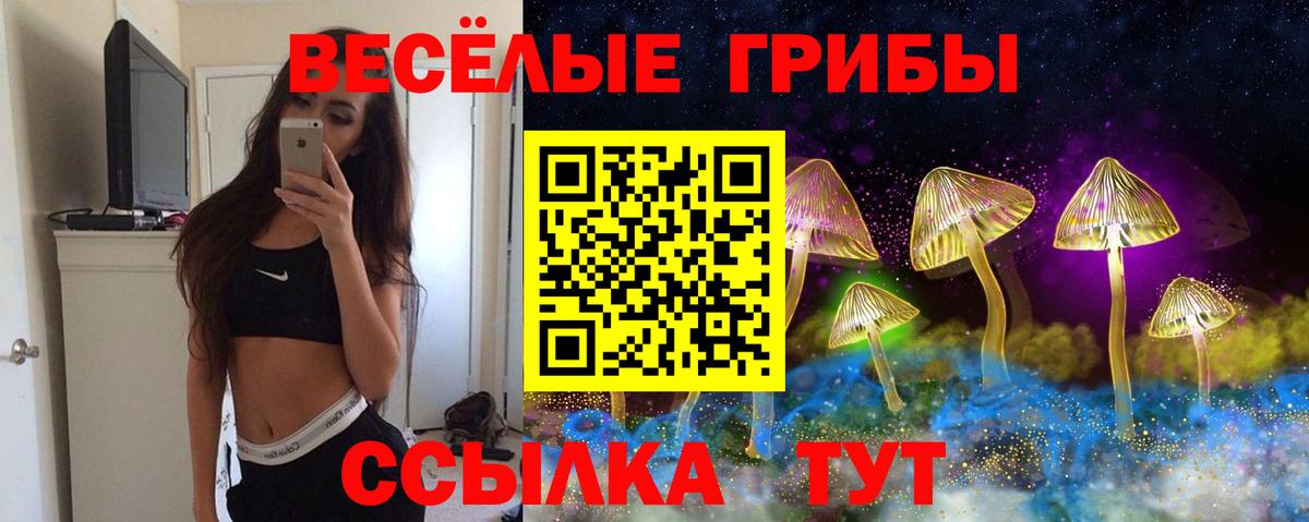 Галлюциногенные грибы мицелий Урус-Мартан