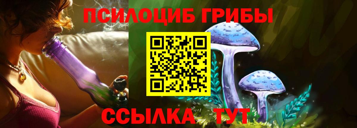 Псилоцибиновые грибы Psilocybe  Вход с VPN  Урус-Мартан 